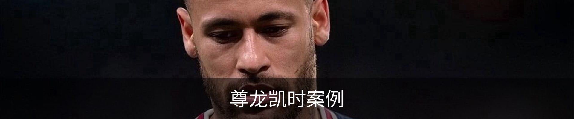尊龙凯时案例